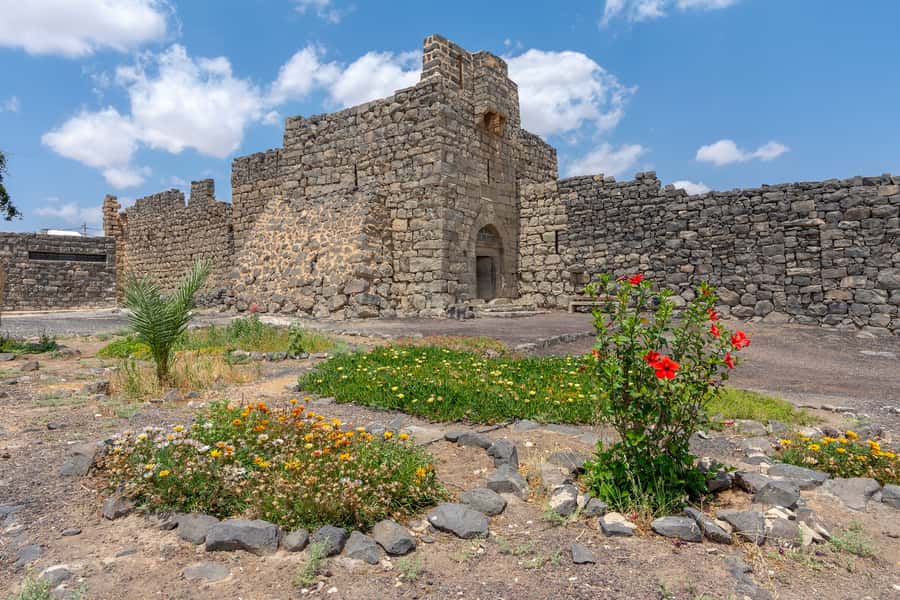From Amman: Umayyad Desert Castles Tour with Transfer - Who will enjoy this half-day outing