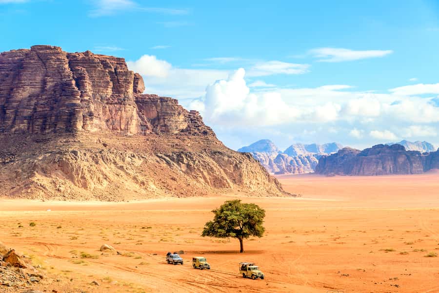 From Aqaba: Jeep Tour to Wadi Rum Desert - Rock drawings, caravan trails, and Bedouin life