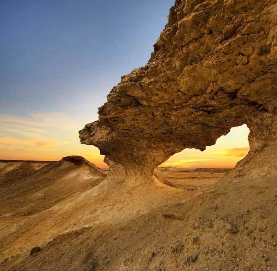 From Doha: Culture & History Qatar Tour to the North & West - What the guide adds to the day