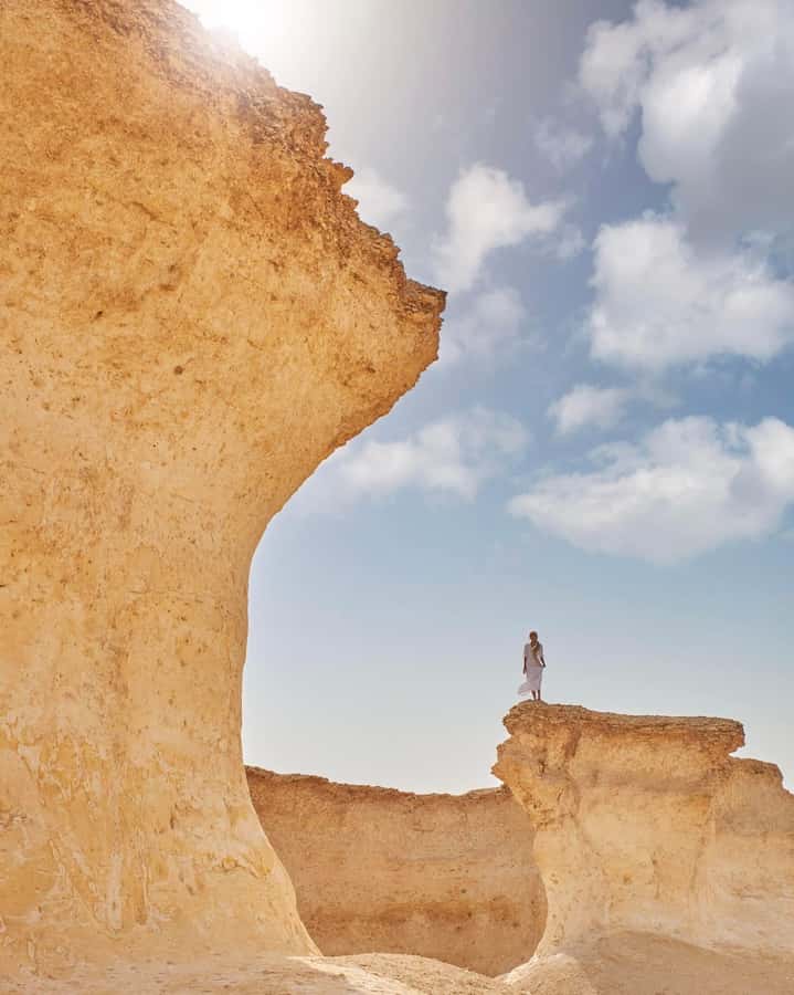 From Doha: Culture & History Qatar Tour to the North & West - Is $63 good value?