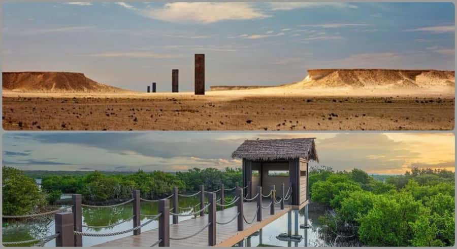 From Doha: Culture & History Qatar Tour to the North & West - Purple Island and the northern coast