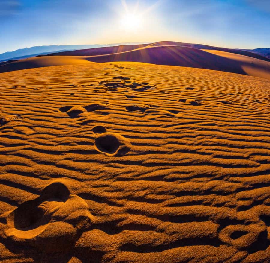 From Doha: Sunrise or Sunset Safari with Sand Boarding - From Doha to the open desert