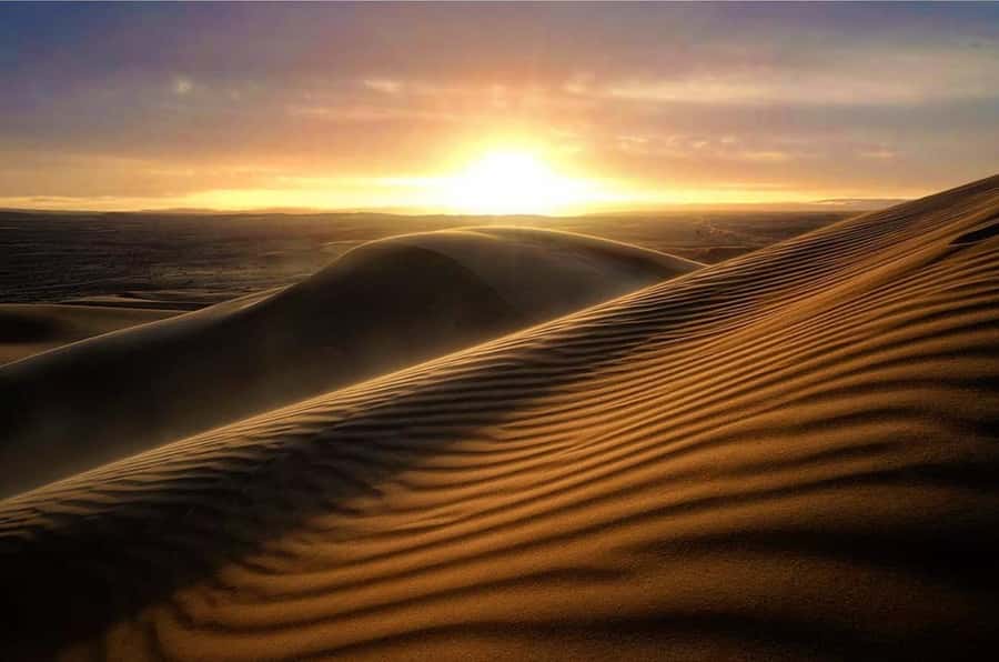From Doha: Sunrise or Sunset Safari with Sand Boarding - Sandboarding on Qatar’s tall dunes