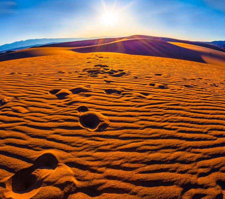 From Doha: Sunrise or Sunset Safari with Sand Boarding - What the $27 price really includes