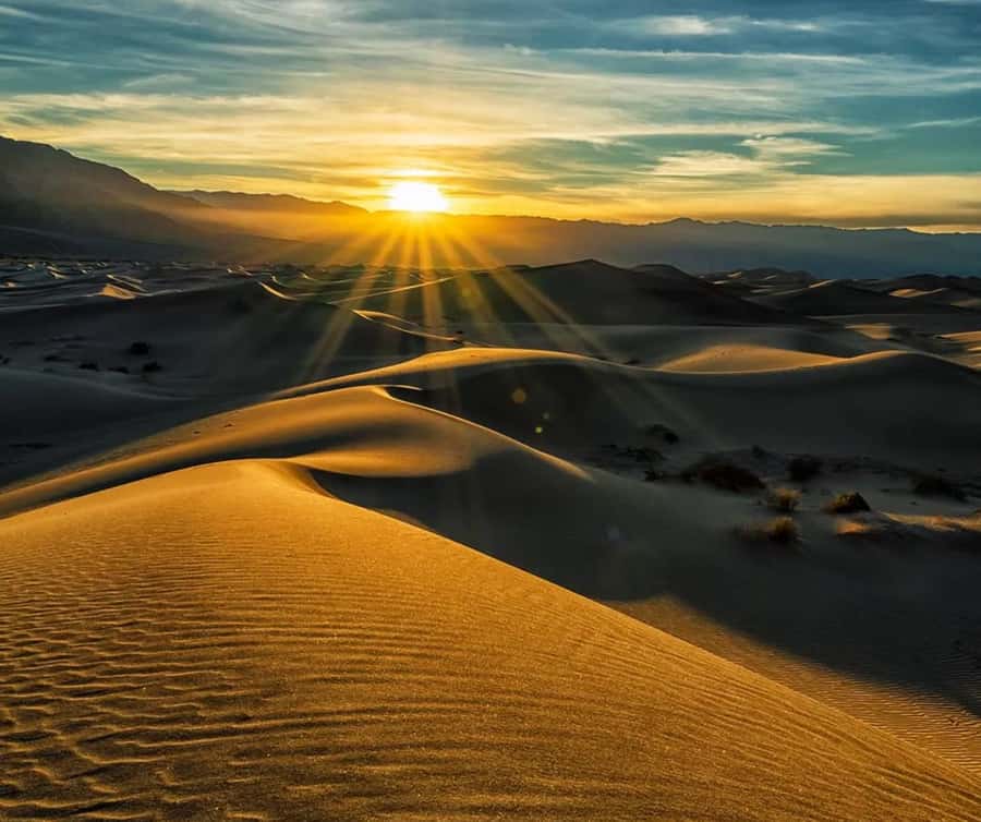 From Doha: Sunrise or Sunset Safari with Sand Boarding - The camel camp and first desert stop