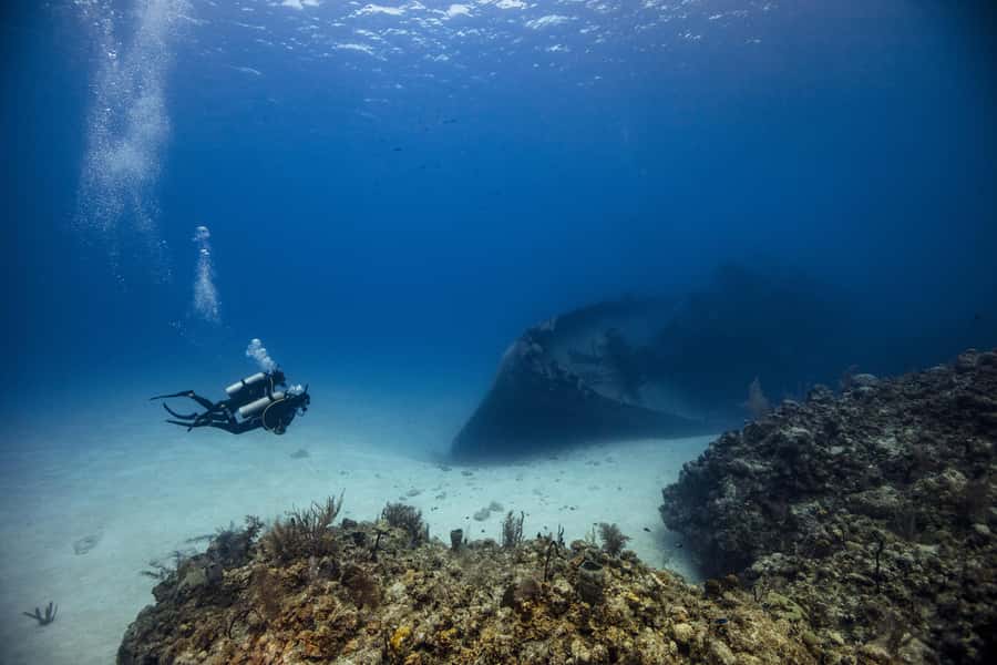 From Dubai: 2 Dives for Certified Divers with BBQ & Transfer - Key points to know before booking