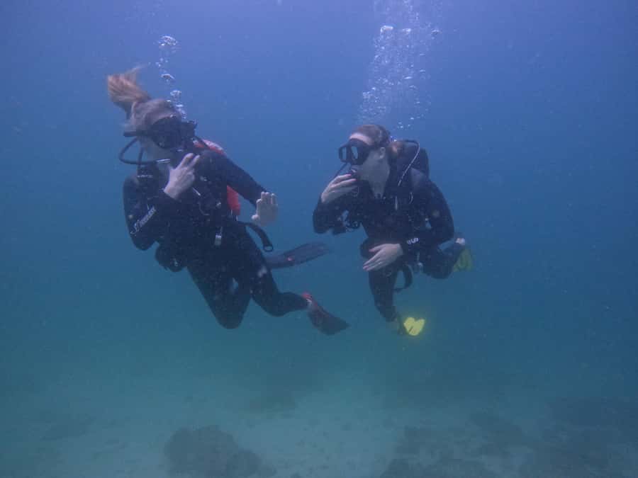 From Dubai: 2 Dives for Certified Divers with BBQ & Transfer - Two Fujairah reef sessions in one morning