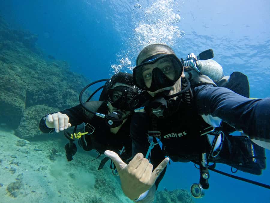 From Dubai: 2 Dives for Certified Divers with BBQ & Transfer - The 30-minute surface break