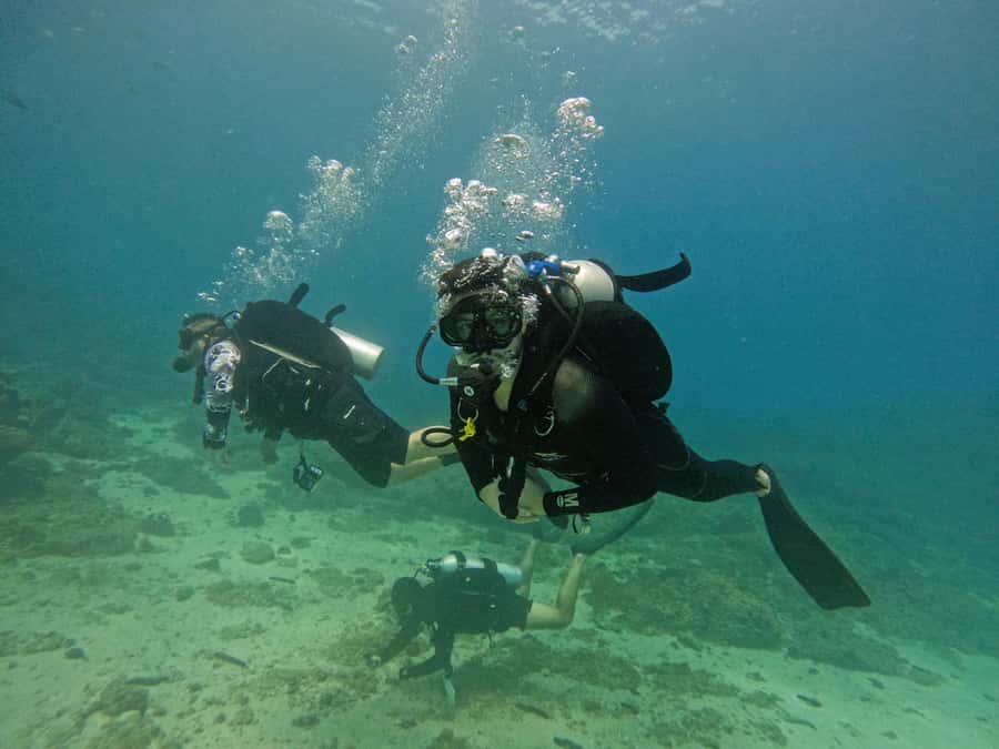 From Dubai: 2 Dives for Certified Divers with BBQ & Transfer - Is $160 a fair price?