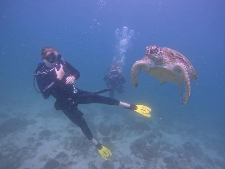 From Dubai: 2 Dives for Certified Divers with BBQ & Transfer - The early ride from Dubai to Fujairah