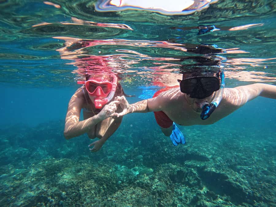 From Dubai: Fujairah Snorkeling with Turtles, Transfer & BBQ - Two long snorkeling sessions near Fujairah
