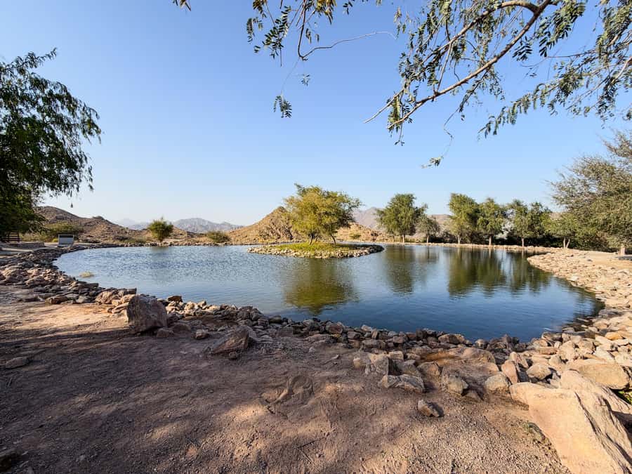 From Dubai: Hatta Sightseeing Tour with kayaking - Who will enjoy this Hatta day trip?