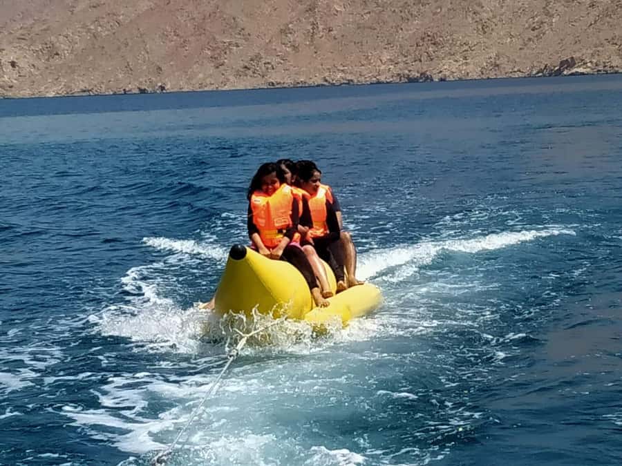 From Dubai/Sharjah/RAK: Dibba Musandam Trip & Dhow Cruise - Key points to know before booking
