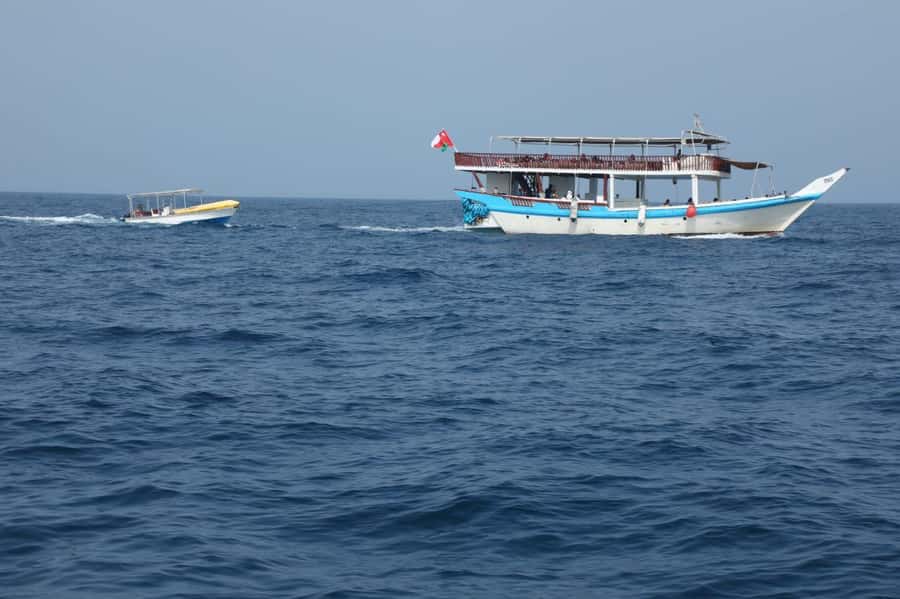 From Dubai/Sharjah/RAK: Dibba Musandam Trip & Dhow Cruise - Who should book this Musandam day trip?