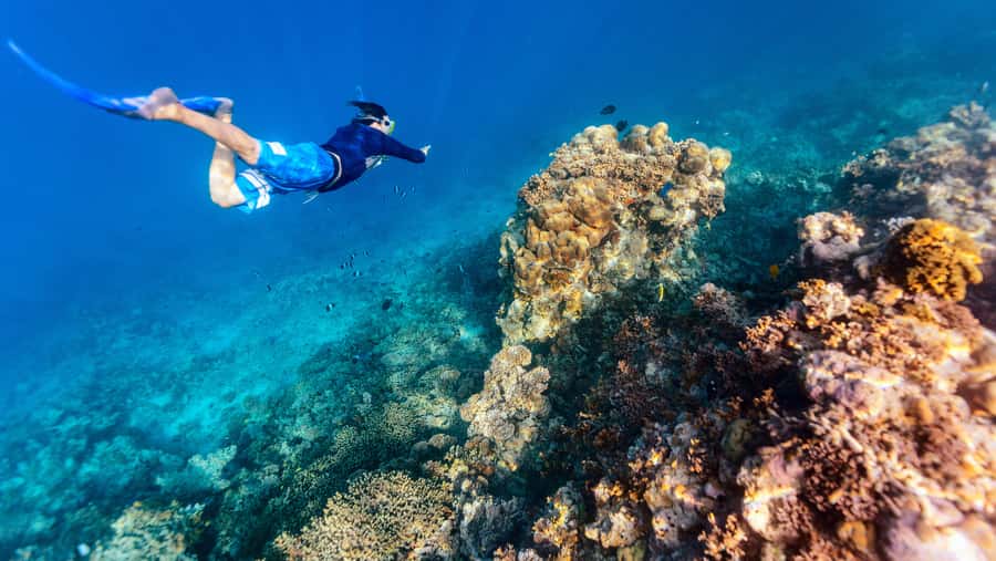 From Dubai: Snorkeling Trip to Dibba Al-Fujairah - Getting ready at the Fujairah center