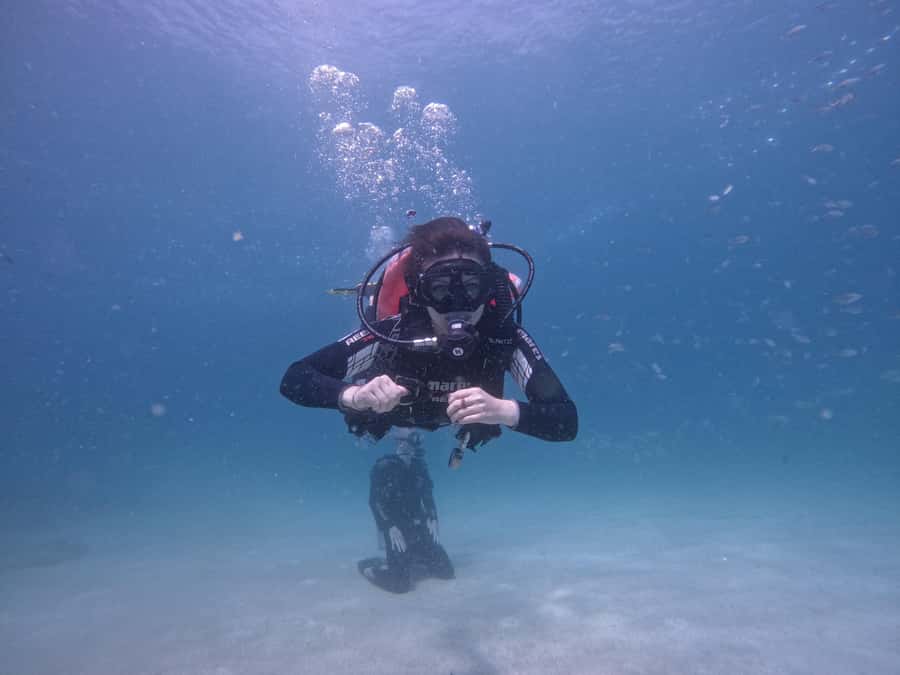 From Dubai: Try Scuba Diving, Snorkeling with BBQ & Transfer - The early drive from Dubai to Fujairah