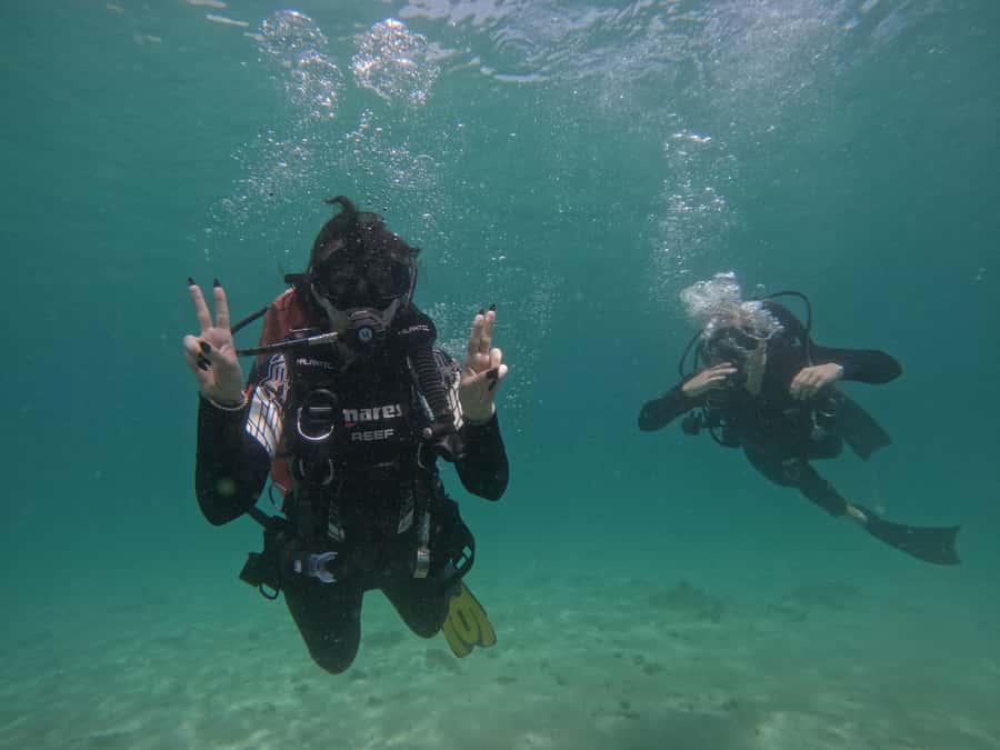From Dubai: Try Scuba Diving, Snorkeling with BBQ & Transfer - Snorkeling at Sharm Rocks