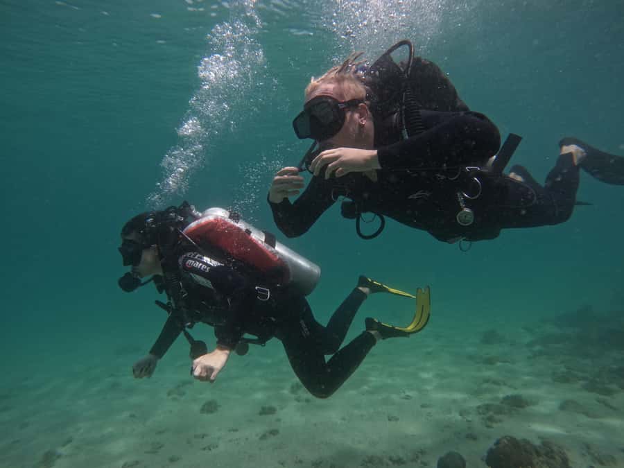 From Dubai: Try Scuba Diving, Snorkeling with BBQ & Transfer - Three short sightseeing stops on the way back