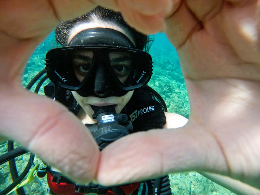 From Dubai: Try Scuba Diving, Snorkeling with BBQ & Transfer - What the $163 price really includes
