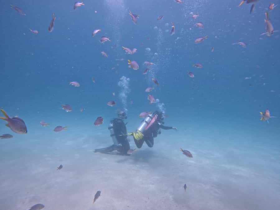From Dubai: Try Scuba Diving, Snorkeling with BBQ & Transfer - Learning the basics before the boat heads out