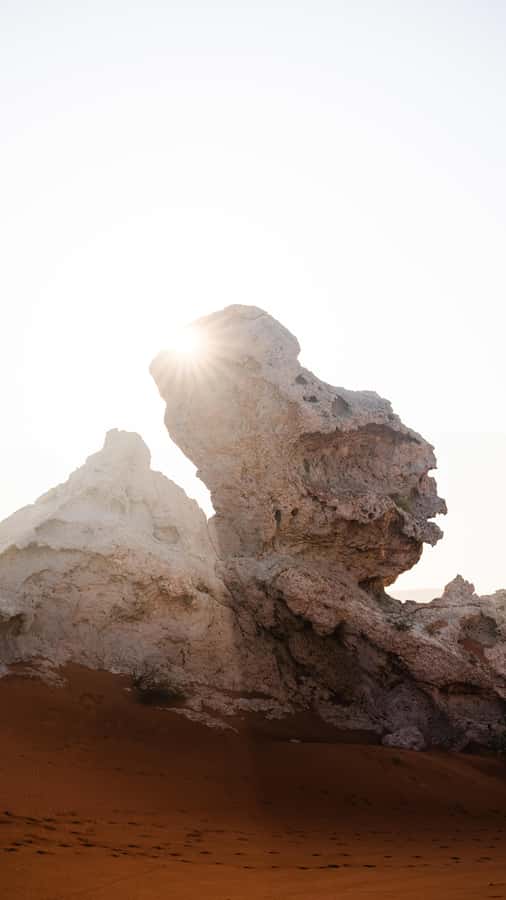 From Dubai: Zerzura Dune Buggy Experience & Fossil Discovery - One hour of self-drive across the red dunes