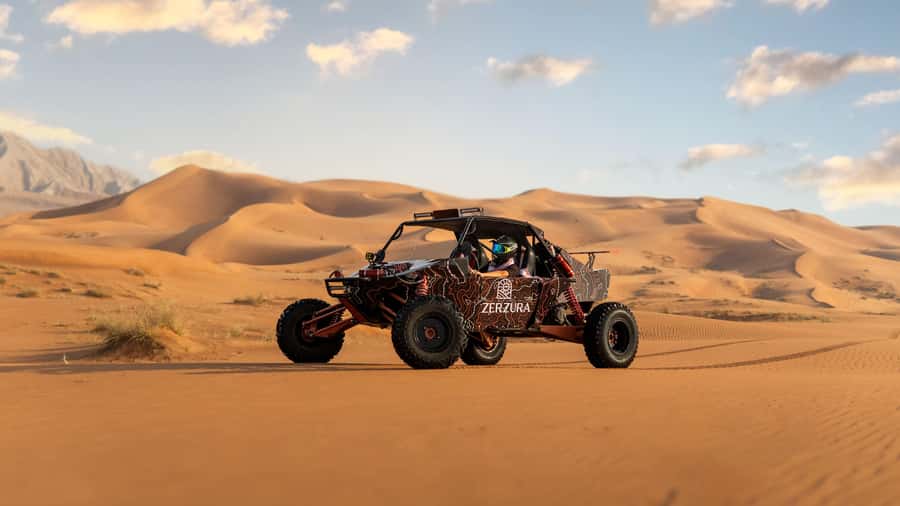 From Dubai: Zerzura Dune Buggy Experience & Fossil Discovery - Fossil Rock and the limits of the fossil stop