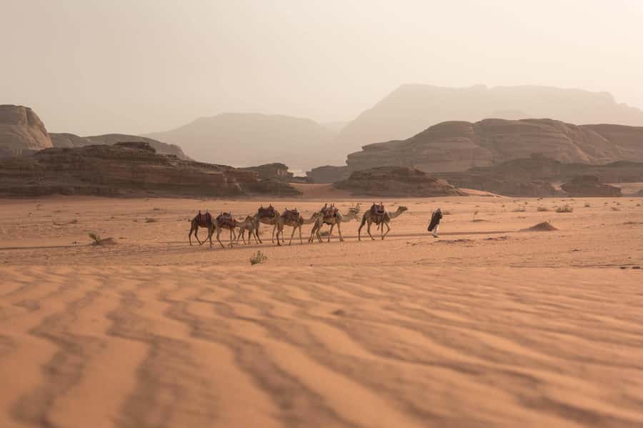 From Eilat, Jerusalem, Tel Aviv: Petra & Wadi Rum 3-Day Tour - Aqaba: a short stop with limited free time