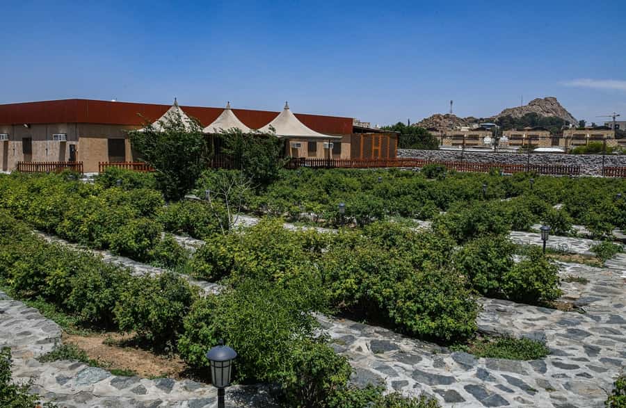 From Jeddah: Taif Exploration Tour with Lunch - The rose farm explains Taif’s famous scent