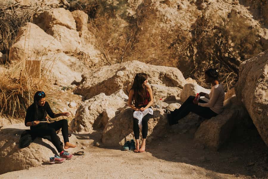 From Jerusalem: Masada at Sunrise, Ein Gedi & Dead Sea Tour - Who should choose this Masada and Dead Sea tour?