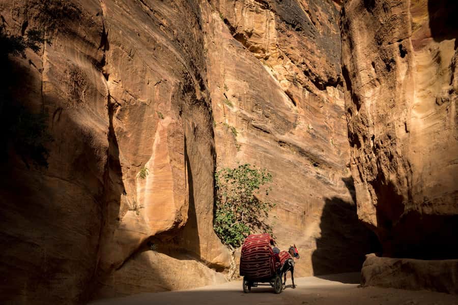 From Jerusalem: Petra and Wadi Rum 3-Day Tour - FAQ
