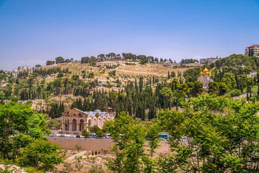 From Jerusalem Small group tour Old&New City ENTRY FEES INCL - A fast introduction to Jerusalem in one day