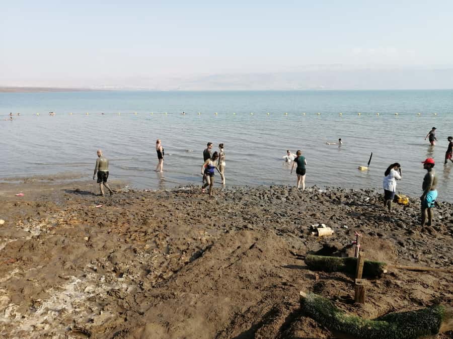 From Jerusalem/Tel Aviv: Bethlehem and Dead Sea Day Tour - Olive wood, local life, and the shopping question