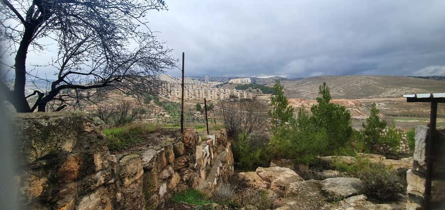 From Jerusalem/Tel Aviv: Bethlehem and Dead Sea Day Tour - Crossing the Judean Desert to the Dead Sea
