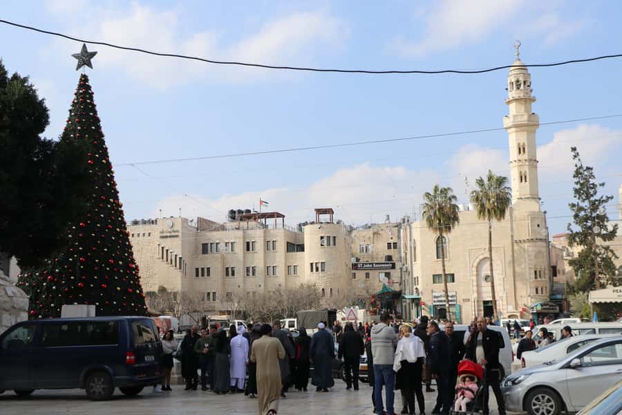 From Jerusalem/Tel Aviv: Bethlehem Half-Day Private Tour - Timing, comfort, and what to bring