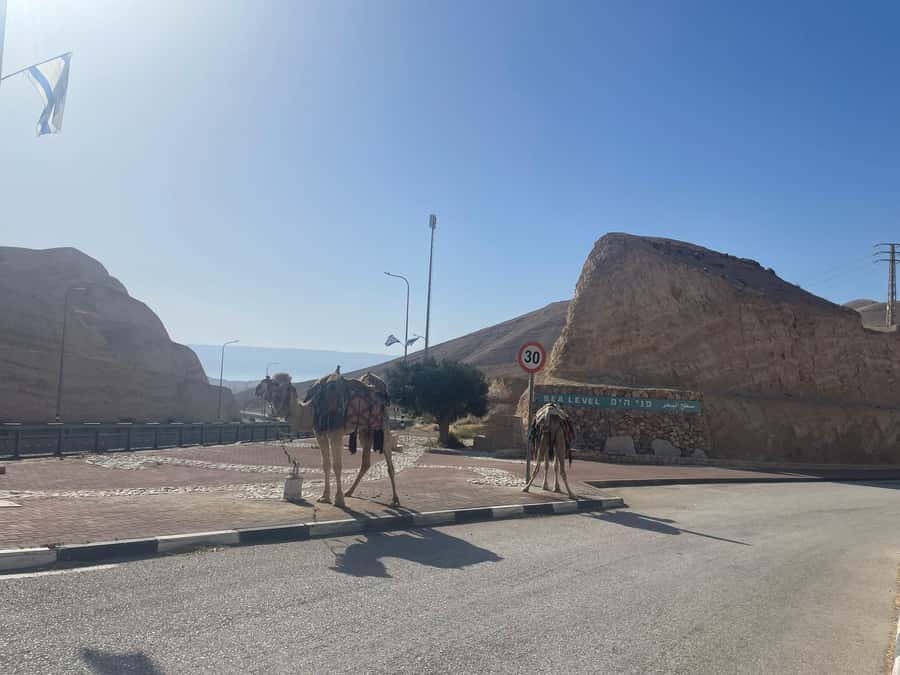 From Jlm : Masada Dead Sea Small Group Tour INCL. ENTRY FEES - Is $144 a fair price?