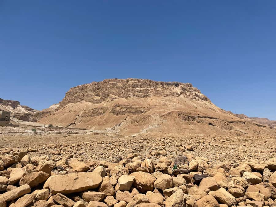 From Jlm : Masada Dead Sea Small Group Tour INCL. ENTRY FEES - Who will get the most from this tour?