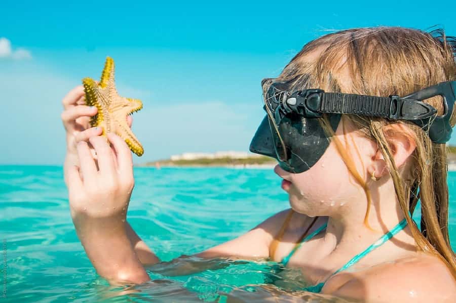 From Muscat: Dimaniyat Islands Snorkeling Tour - Why the Dimaniyat Islands are worth the boat ride