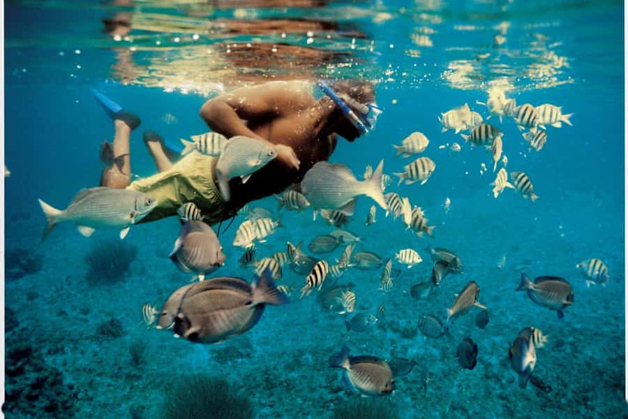 From Muscat: Dimaniyat Islands Snorkeling Tour - The open-water ride to the islands
