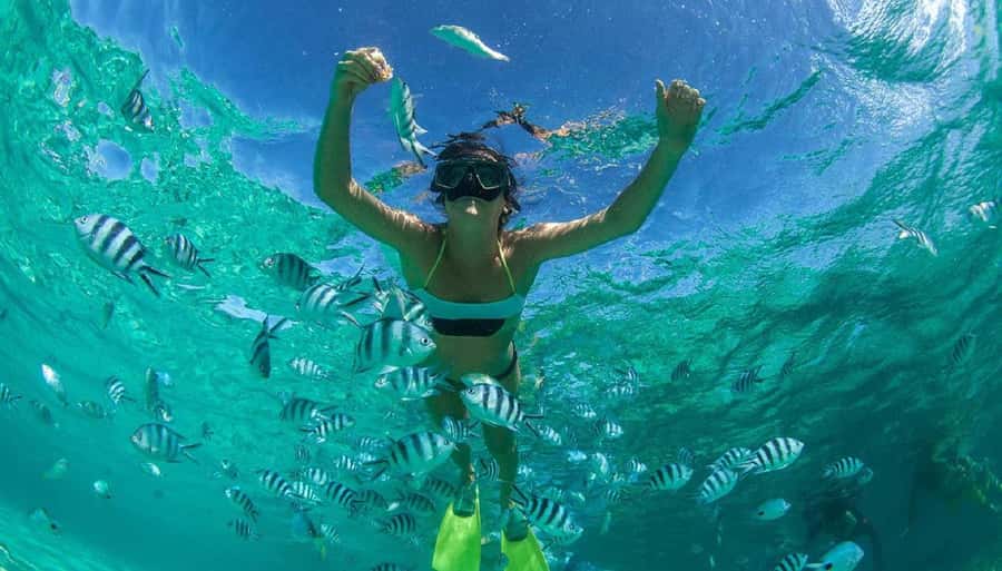 From Muscat: Dimaniyat Islands Snorkeling Tour - Equipment, safety, and comfort details