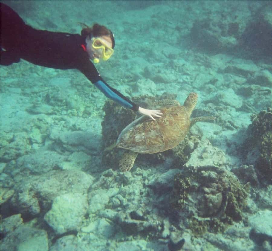 From Muscat: Dimaniyat Islands Snorkeling Tour - The best time to schedule it