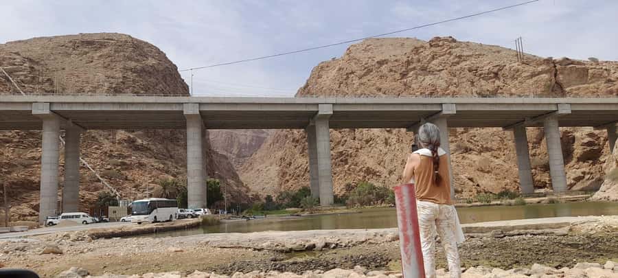 From Muscat: Guided Overnight Desert Camp Tour - The drive from the wadi to Wahiba Sands