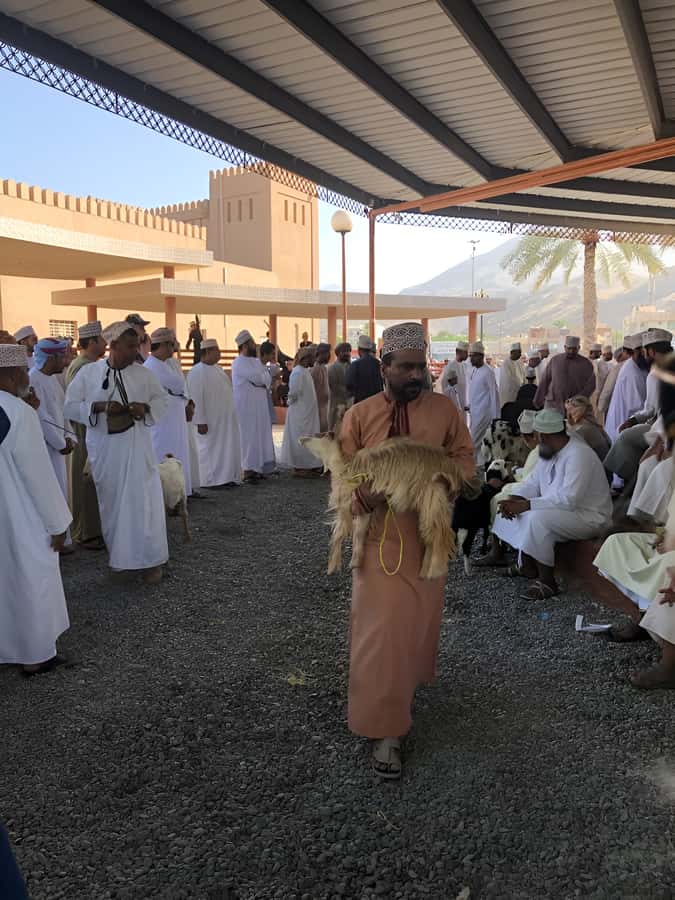 From Muscat: Nizwa and Oman's Historical Gems Tour - Lunch, transport, and the practical rhythm