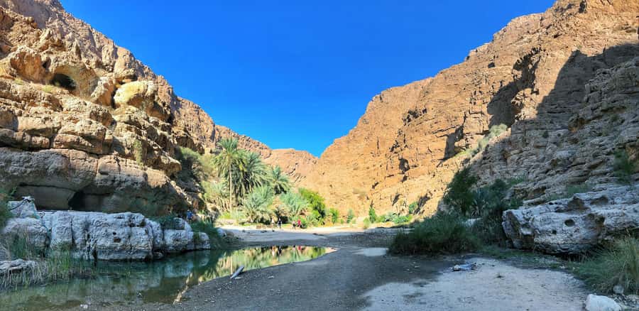 From Muscat: Wadi Shab & Bimmah Sinkhole Full-Day Tour - Lunch, tea, and the practical rhythm of the day