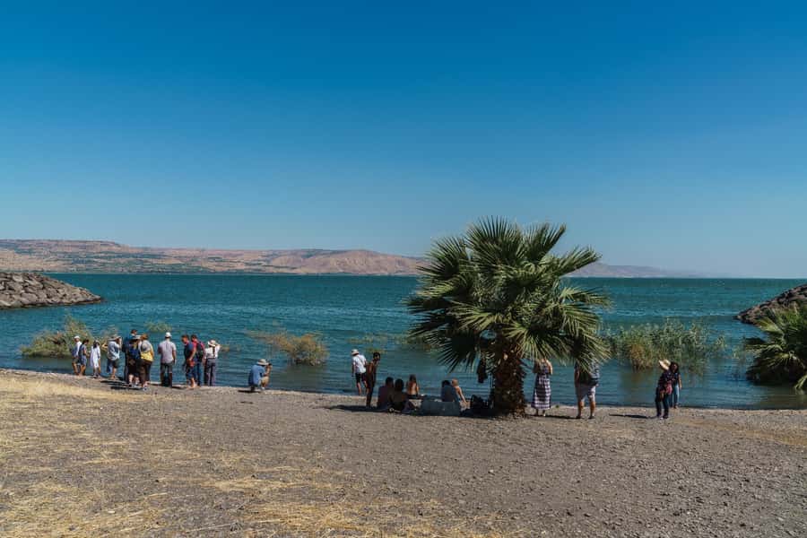 From Tel Aviv: Guided Day Trip to Nazareth & Sea of Galilee - Is $98 a fair price?