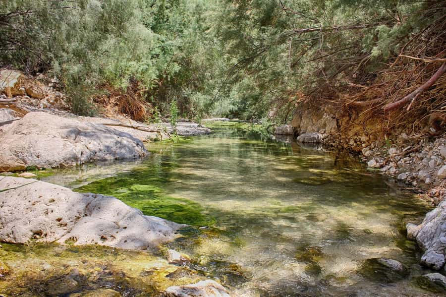 From Tel Aviv: Masada, Ein Gedi & Dead Sea Tour - Key points to know before booking