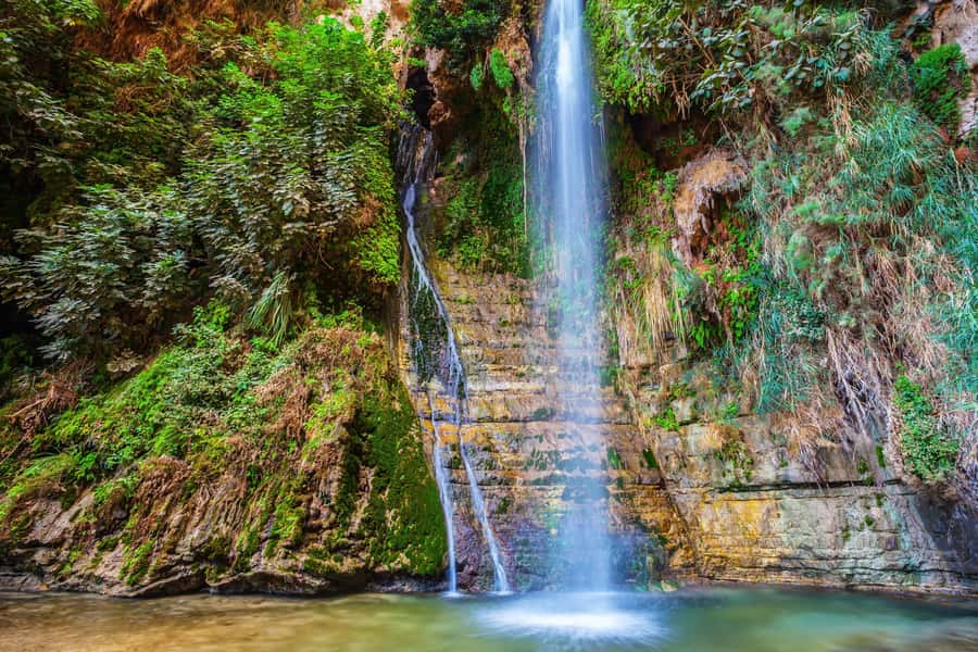 From Tel Aviv: Masada, Ein Gedi & Dead Sea Tour - Ein Gedi: water and shade in a dry world