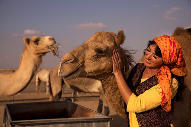 High Red Dunes with Camel Ride, Sandboarding, Falcon Show and VIP BBQ Dinner - Sunset, camel riding, and desert photos