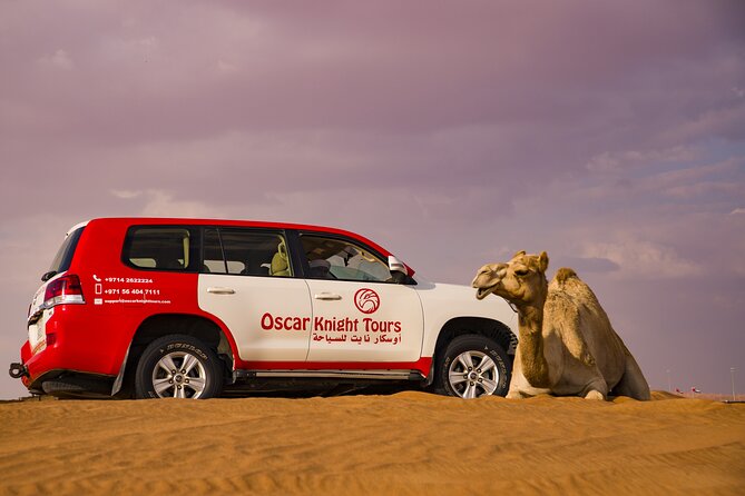 High Red Dunes with Camel Ride, Sandboarding, Falcon Show and VIP BBQ Dinner - BBQ dinner and the VIP seating difference