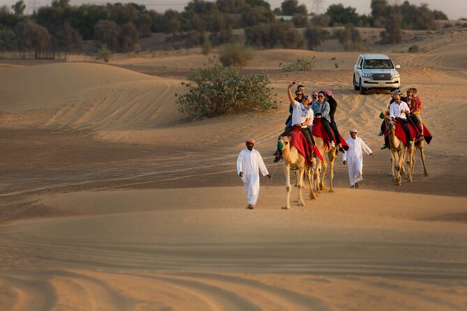 High Red Dunes with Camel Ride, Sandboarding, Falcon Show and VIP BBQ Dinner - Who will enjoy this safari most