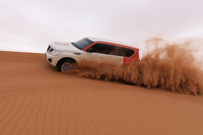 High Red Dunes with Camel Ride, Sandboarding, Falcon Show and VIP BBQ Dinner - Sandboarding on soft red sand